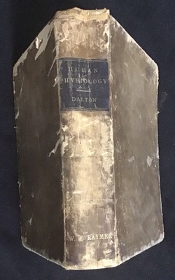 John C. Dalton's Treatise on Human Physiology, 1882, Leather-Bound Medical Book-image