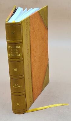 Descriptive Guide To The Adirondacks And Handbook Of Travel To S [Leather Bound]-image